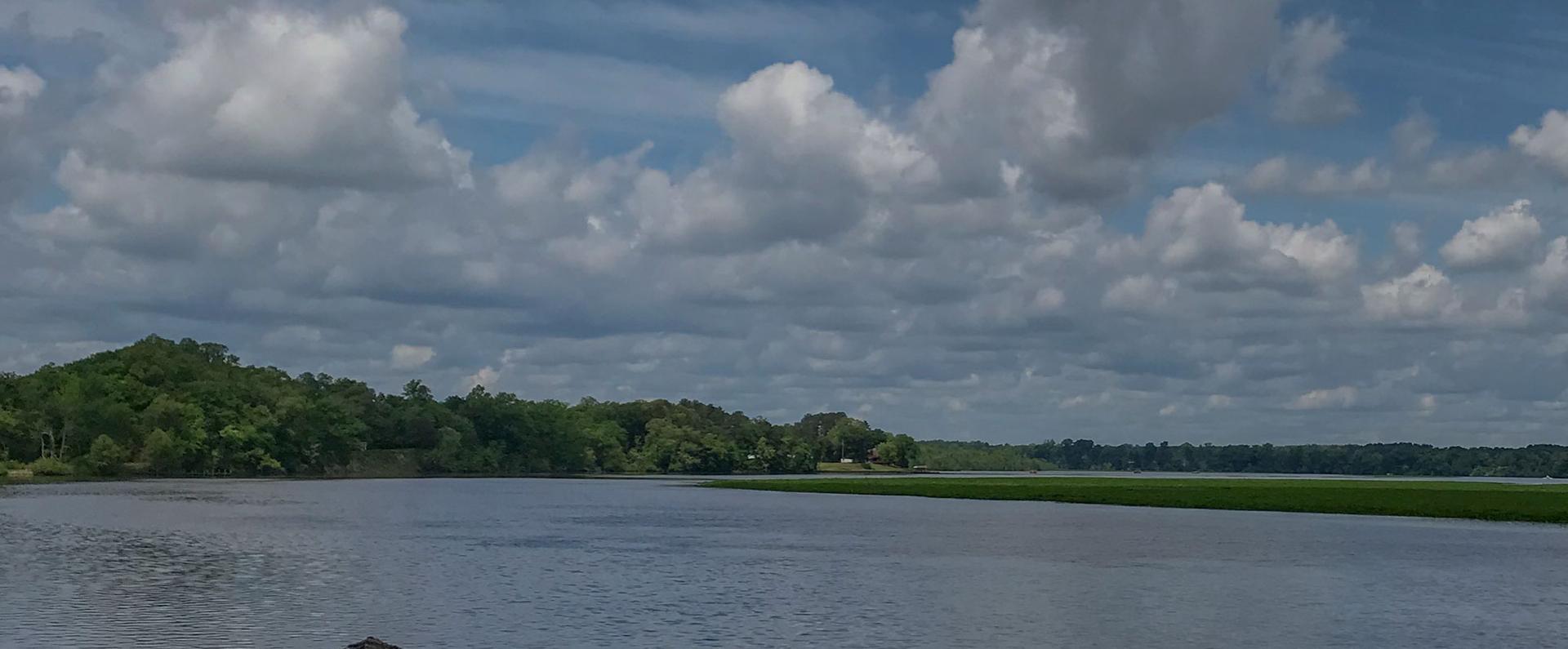 Waterfront landscape in King William, VA