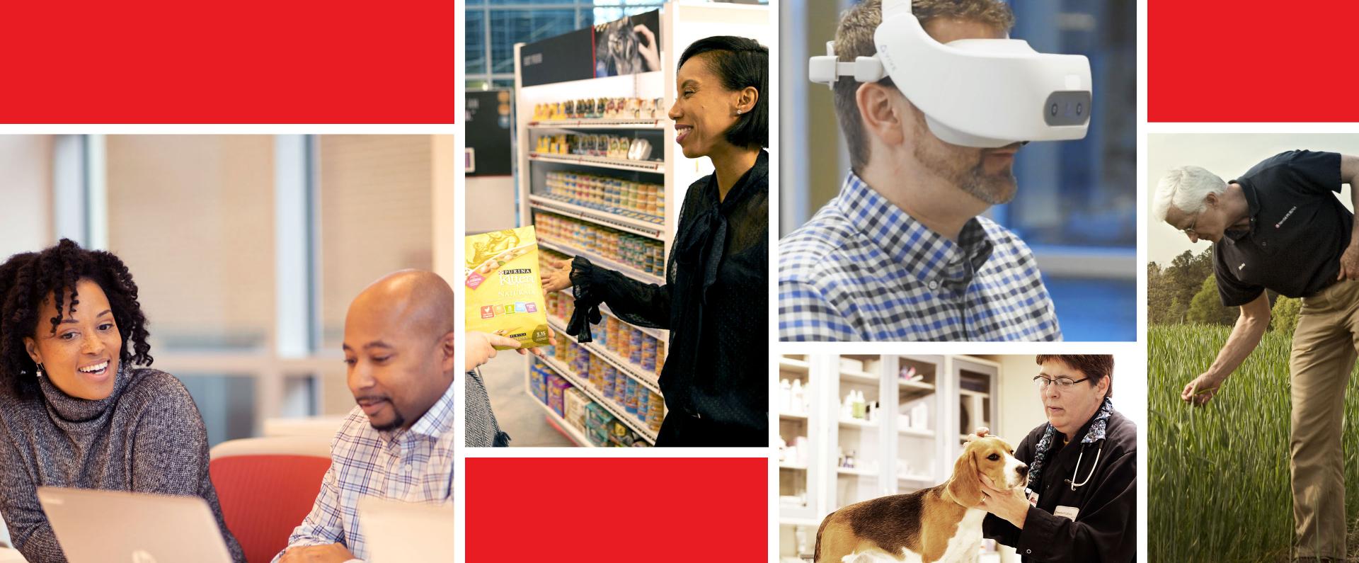 Nestlé Purina Nestlé Careers