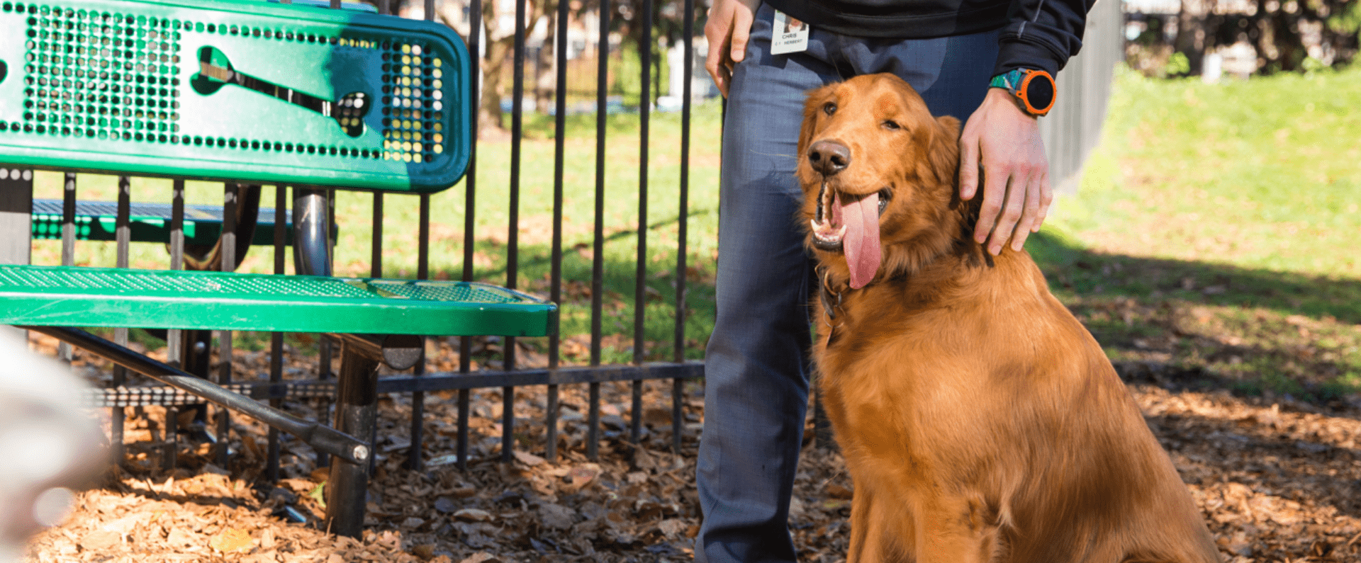 man with hand on dog