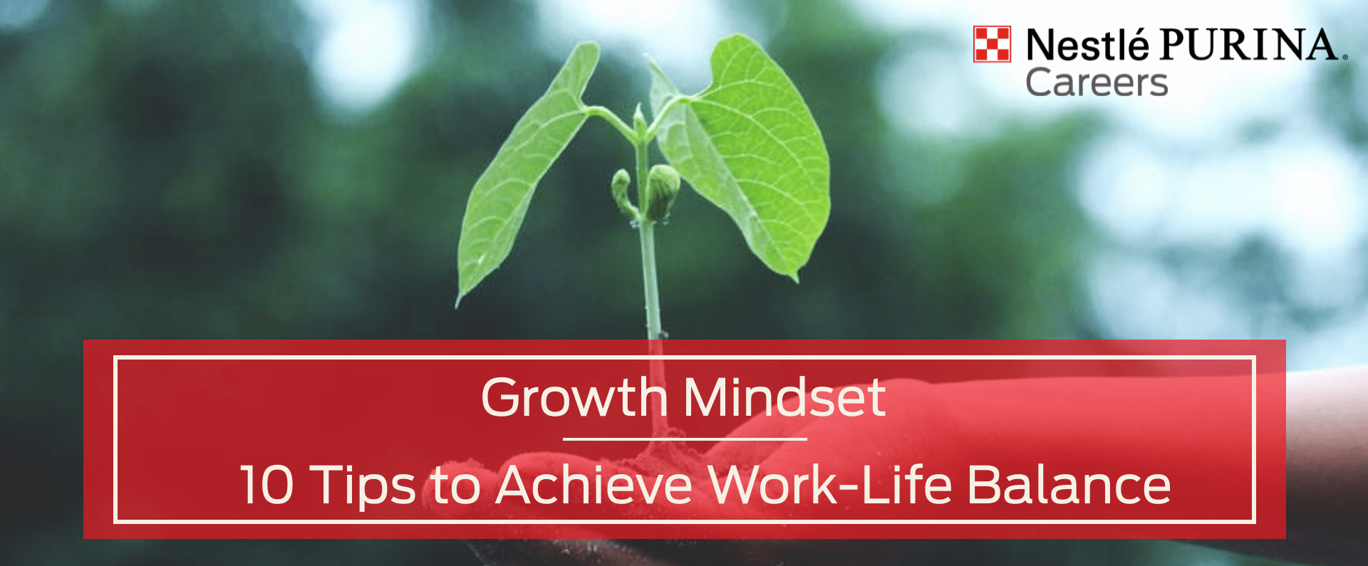 Work Life Balance 7 Tips To Create Perfect Balance In Life
