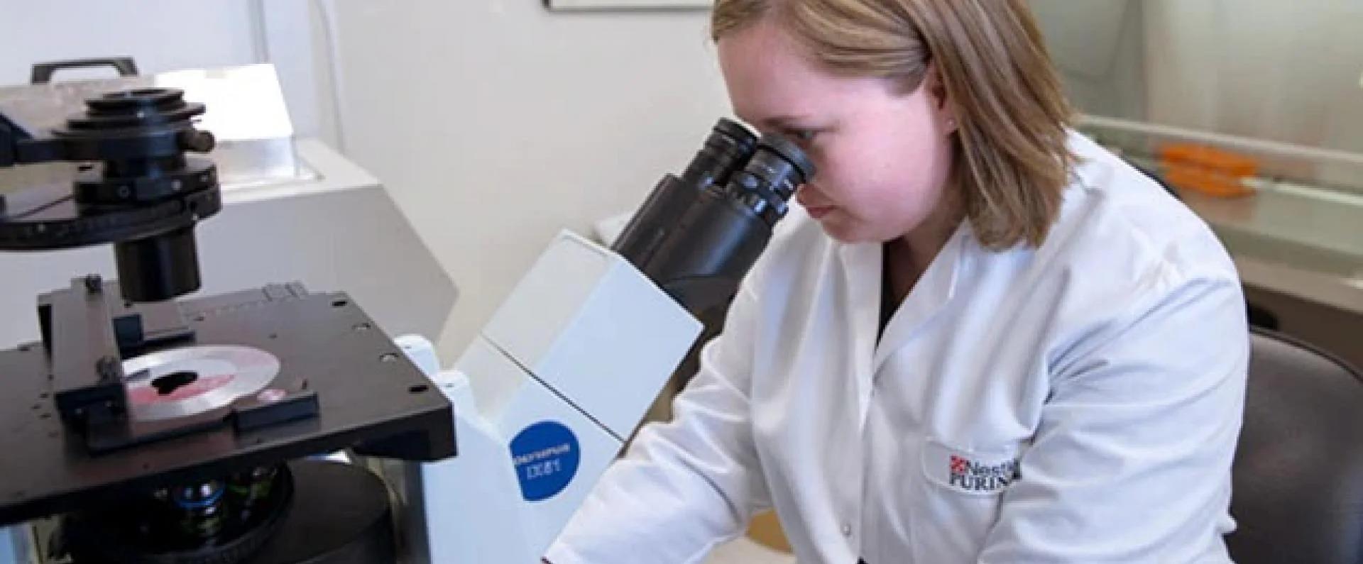 Purina's laboratory assistant looks into a microscope