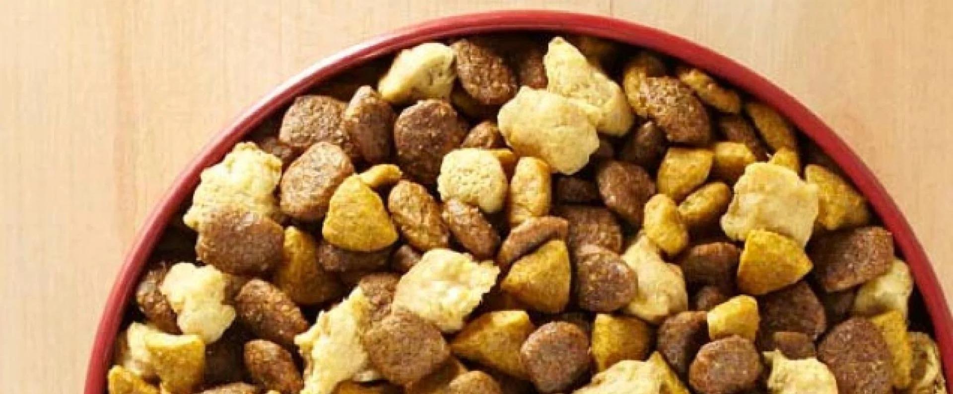 Close up of bowl of dog food