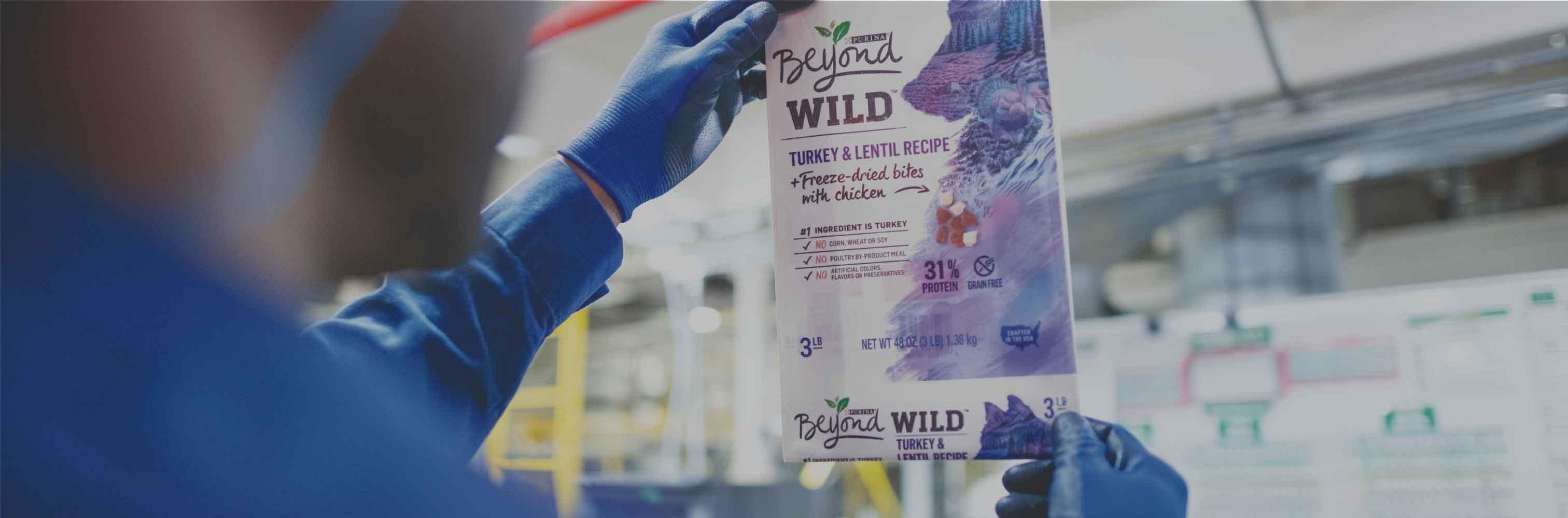 Nestlé Purina Nestlé Careers