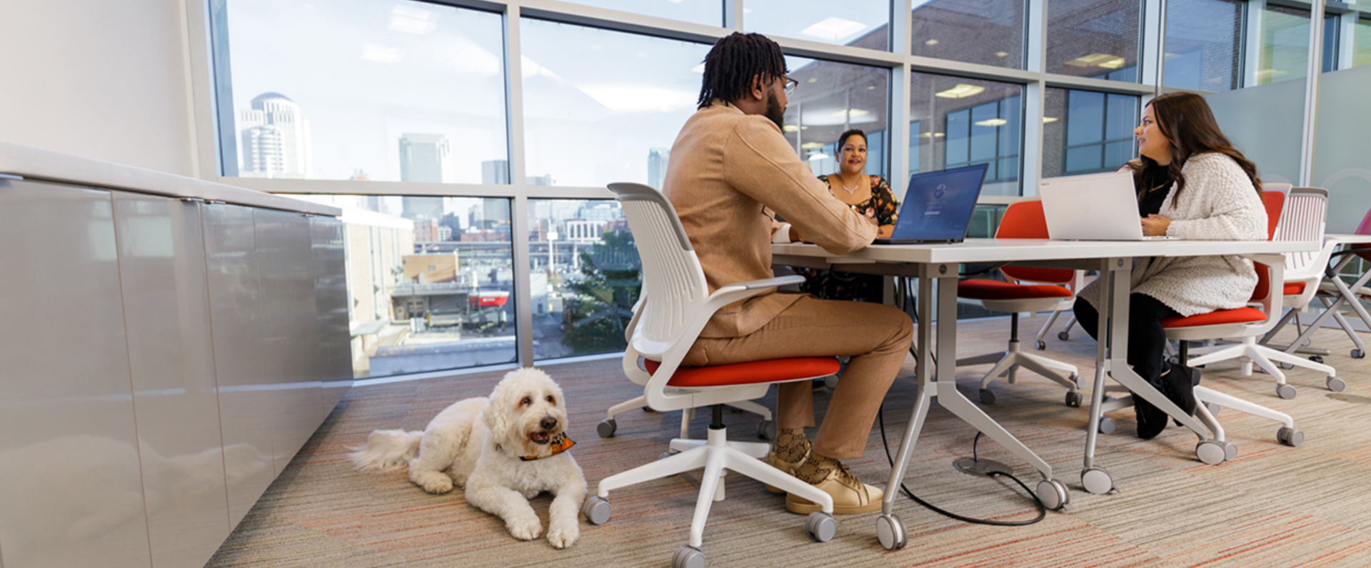 Pet-friendly office with coworkers and a dog at a meeting