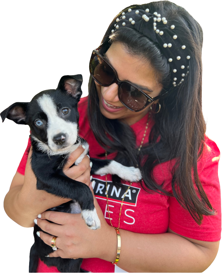 Pet care brands