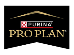 Pro Plan